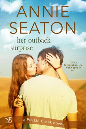 Cover of the book Her Outback Surprise by N.J. Walters