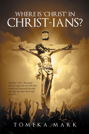 Cover of the book Where is Christ in Christ-ians? by Dave Lentz