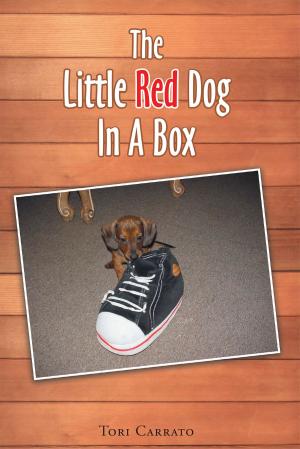 Book cover of The Little Red Dog In A Box