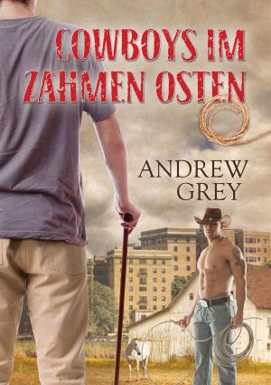 Cover of the book Cowboys im zahmen Osten by Caitlin Ricci