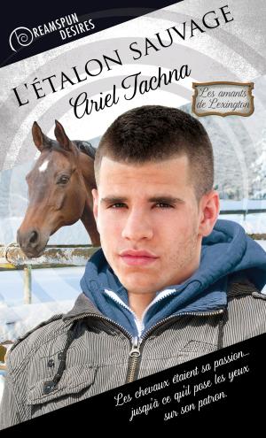 Cover of the book L'étalon sauvage by Chrissy Munder