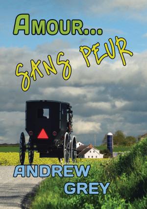 Cover of the book Amour... sans peur by Andrew Grey