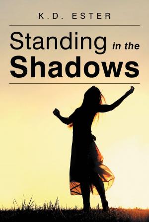 Book cover of Standing in the Shadows