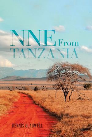 Cover of the book NNE From Tanzania by Roberta Brown