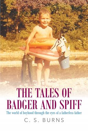 Cover of the book The Tales of Badger and Spiff by Anthony R. Pettigrew