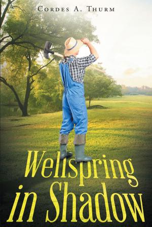 Cover of the book Wellspring in Shadow by JR Russell