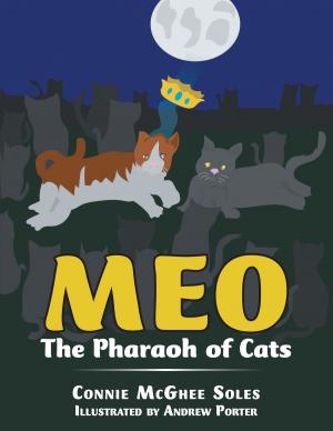 Cover of the book Meo by Bob Jamison