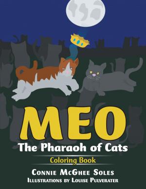 Cover of the book Meo by Majid Khodabandeh