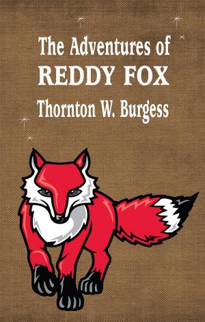Book cover of The Adventures of Reddy Fox