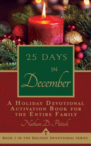 Cover of the book 25 Days in December by Arlin Ewald Nusbaum