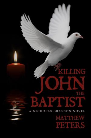 Cover of the book Killing John the Baptist by John Steiner
