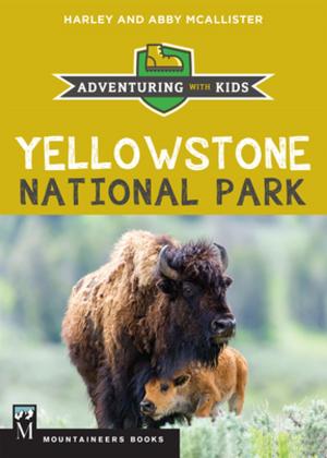 Cover of the book Yellowstone National Park by Jeff Renner