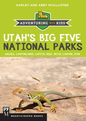 Cover of the book Utah's Big Five National Parks by John Soares