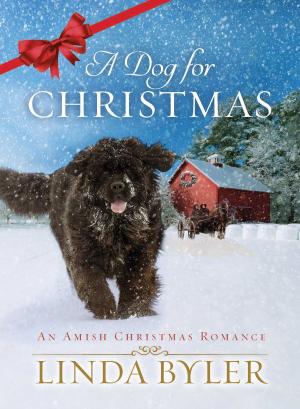 Cover of the book A Dog for Christmas by Linda Byler