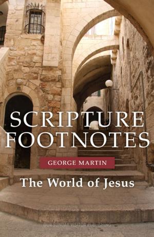 Book cover of Scripture Footnotes