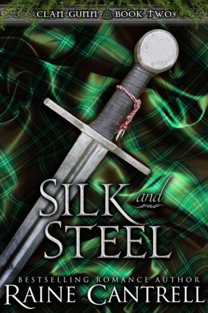 Cover of the book Silk and Steel by Leslie Davis Guccione