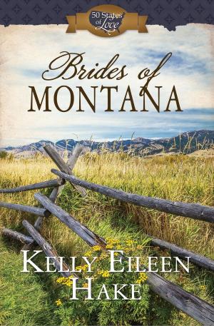 Cover of the book Brides of Montana by Alyssa Fikse, Compiled by Barbour Staff
