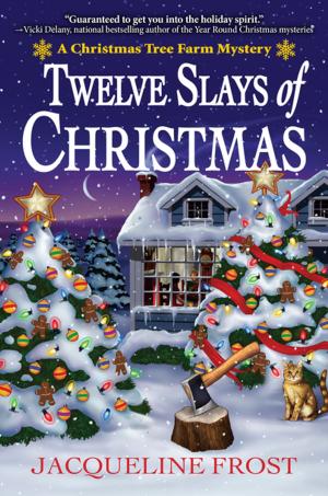 Cover of the book Twelve Slays of Christmas by D. M. Quincy