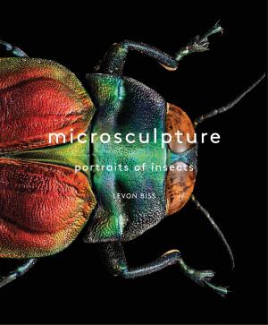 Cover of the book Microsculpture by Cenk Sonmezsoy