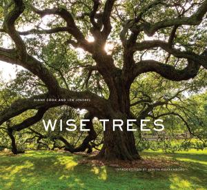 Cover of the book Wise Trees by Sheila Grau