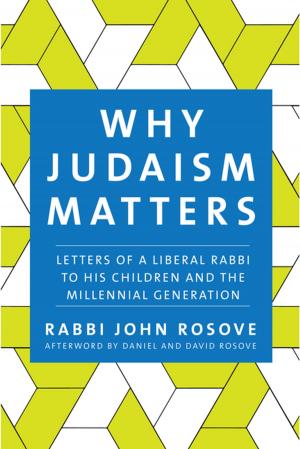 Cover of the book Why Judaism Matters by 