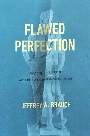 Cover of the book Flawed Perfection by M. James Sawyer
