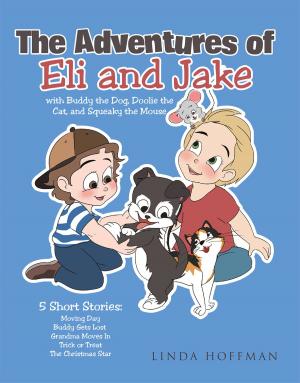 Cover of the book The Adventures of Eli and Jake by STEVE PENN GERRARD