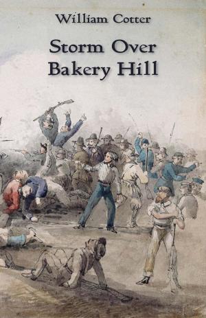 Cover of the book Storm Over Bakery Hill by Robert Horne