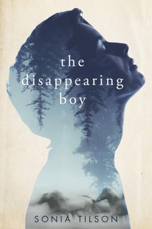 Cover of the book The Disappearing Boy by Dr. Arnold Burden