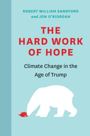 Cover of the book The Hard Work of Hope by D Cecchini