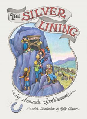 Cover of the book The Silver Lining by Anthony Dalton