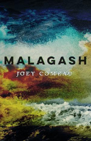 Cover of the book Malagash by Steve Stanton