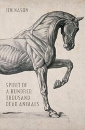 Cover of the book Spirit of a Hundred Thousand Dead Animals by John Brooke