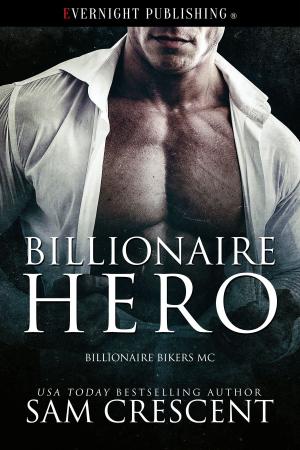 Cover of the book Billionaire Hero by Pamela Moran
