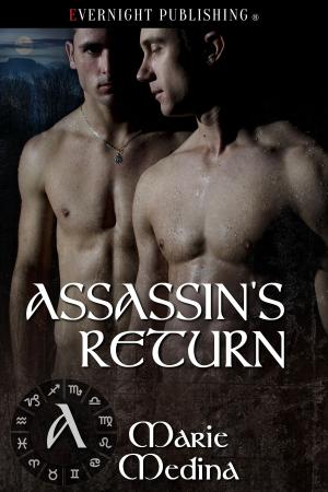 Cover of the book Assassin's Return by Rebecca Brochu