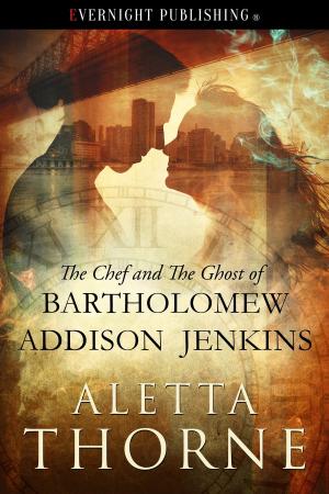 Book cover of The Chef and the Ghost of Bartholomew Addison Jenkins