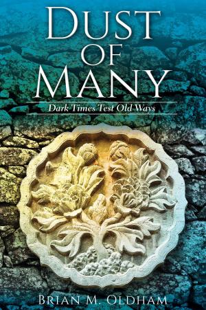 Cover of the book Dust of Many by Haruna A. Idowu