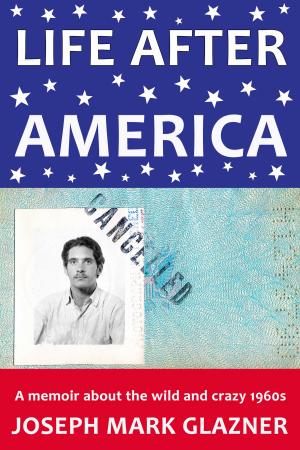 Book cover of Life After America
