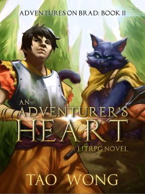 Cover of An Adventurer's Heart
