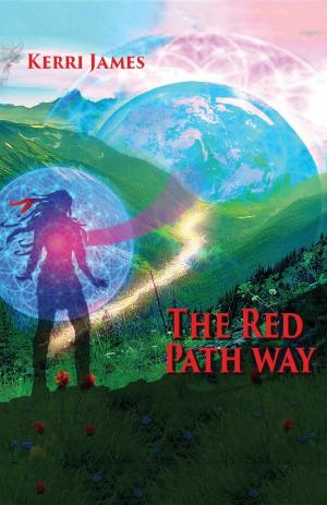 Cover of the book The Red Path Way by Bright Okoye