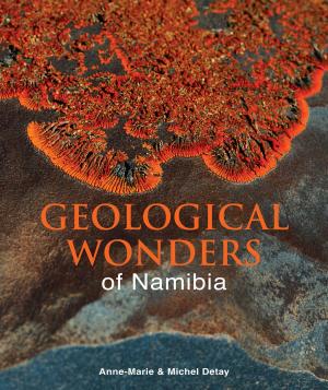 Cover of the book Geological Wonders of Namibia by Jan Hendrik van der Westhuizen