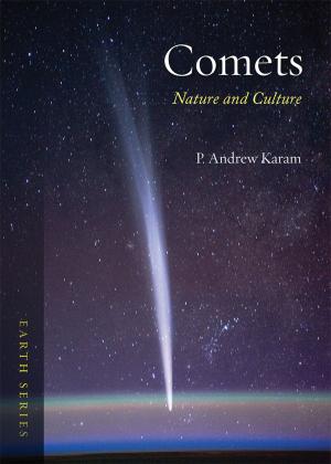 Cover of the book Comets by Aaron Linsdau