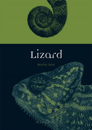 Cover of the book Lizard by Jón Karl Helgason