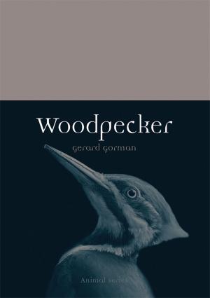 Cover of the book Woodpecker by Ursula Heinzelmann