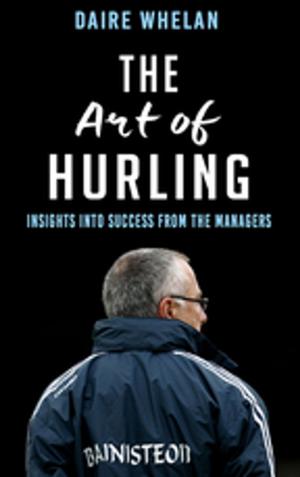 Cover of the book The Art of Hurling: by Rosanne Hewitt-Cromwell, Sheila Kiely, Paul Callaghan
