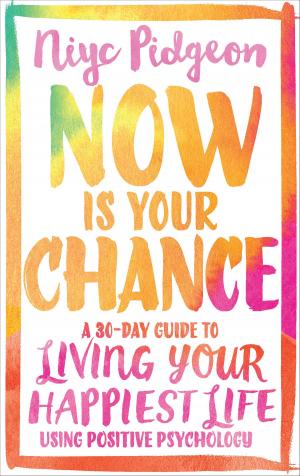 Cover of the book Now Is Your Chance by Pam Grout