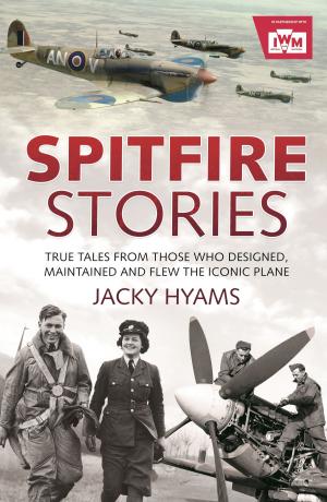Cover of the book Spitfire Stories by Stewart Ross