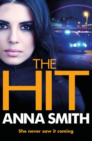 Cover of the book The Hit by Stephen Dando-Collins