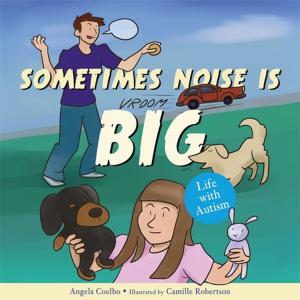 Cover of the book Sometimes Noise is Big by Caroline Lloyd