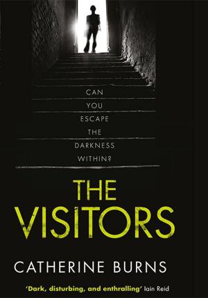 Cover of the book The Visitors by Natalie Hart